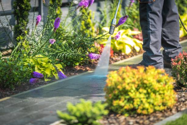 Best Concrete Surface Cleaning in Latimer, MS